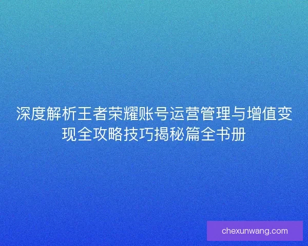 深度解析王者荣耀账号运营管理与增值变现全攻略技巧揭秘篇全书册