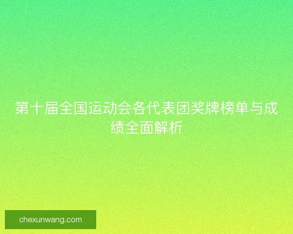 第十届全国运动会各代表团奖牌榜单与成绩全面解析 第十届全国运动会各代表团奖牌榜单与成绩全面解析